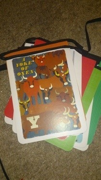 Flash Card Bunting