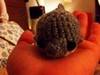 Small_2012-12-19_23.16.14