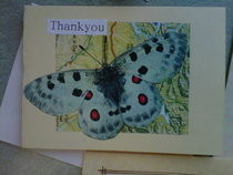 Upcycled Cards