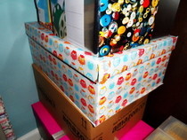 Covered Shoebox Storage