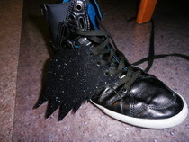 Shoe Wings