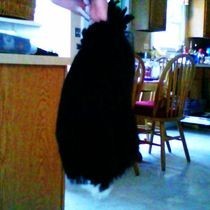 Fox Tail Out Of Yarn!