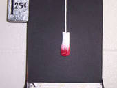 Tampon Dispenser