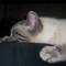 Square_lazyca2t_1226079682