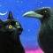 Catmoonraven