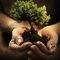 The Yggdrasil Tree
