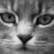 Square_574003_1383381031_1393967017_n