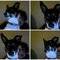Square_572889_1705016706_973808462_n