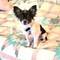 Square__cid__c360_2012-04-11-11-17-55
