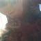 sarah.i.wickman