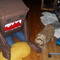 Square_avatar