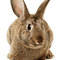 Bunbunluv4