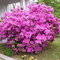 Square_41498_100001044170048_6539_n