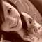 Square_avatar