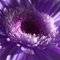 Square_371350_100004218431962_567449558_n