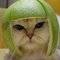 Square_avatar