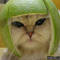 Square_avatar