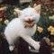 ###-----> Kathy S.