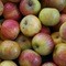 Square_apples