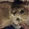 Square_260861_1537943068_1618629429_n