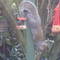 Square_avatar