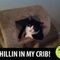 oooizisabelle