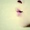 Square_273281_697381871_1227434981_n
