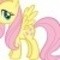 amber.gir1