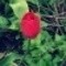Square_275701_100002394740580_1731106474_q