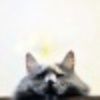 Normal_square_195513_100004167275998_1364818283_q