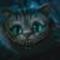 steph_2323