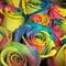 Square_100_0759_1240455595