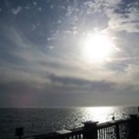 Large_square_avatar