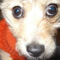 Large_square_avatar