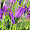 Square_41392_1038099547_3623_n