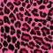 Square_49150_1079127096_1264825_n