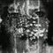 Square_avatar