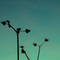 Square_avatar
