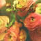 Square_avatar