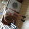 Square_avatar