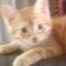 Square_avatar