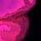 Square_avatar