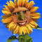 Square_avatar