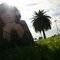 Square_photo_1202775104