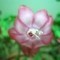 Square_avatar