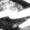 Square_avatar