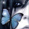 Square_avatar