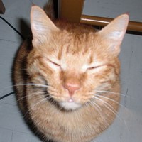 Large_square_avatar