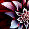 Square_avatar