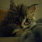 Square_n100000410297863_5874